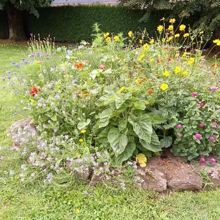 Holiday home Auvergne Avec Piscine, Proche Aurillac Et Puy Mary, Terrains Et Activites A Proximite - Fr-1-742-52